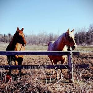 Meet your Posher, Connie